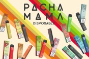 Pacha Mama Disposable